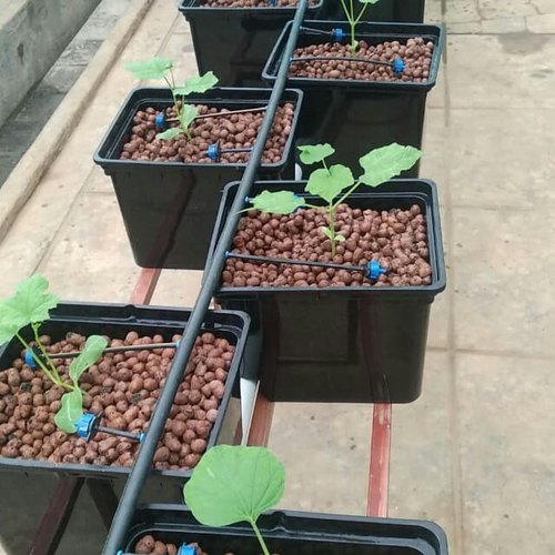 Landbouwaccessoires voor kassen Plastic PE Watervoorziening Drip Irrigatiepijp 3